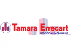 Tamara Errecart Negocios Inmobiliarios