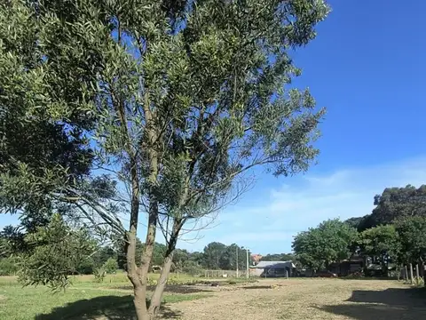 Terreno en Venta de 1605,0 m2