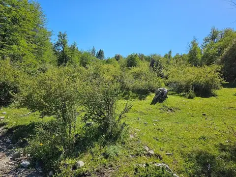 Lago Lezana