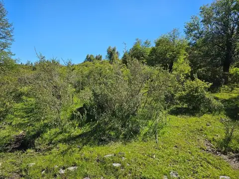 Lago Lezana