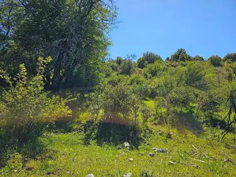 Terreno en Venta 200  mts Frente