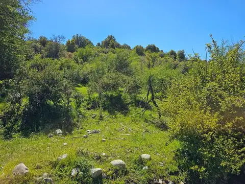 Terreno en Venta en Cholila, USD 35.000