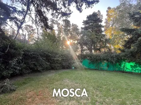 Terreno en Venta 12  mts Frente