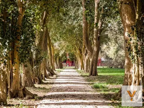 Club de Campo El Mirador
