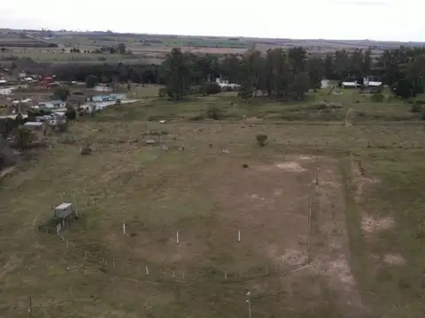 Amplio terreno de 2,8 hectareas en zona Abadia