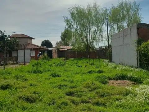 Terreno en Lisandro Olmos Etcheverry