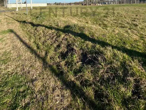 Terreno en Venta en Joaquin Gorina, USD 10.000