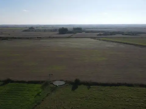 Campo agricola de 21.5 has en Corrales (Antelo)