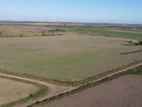 Camino Rural 21 , Piso No definido