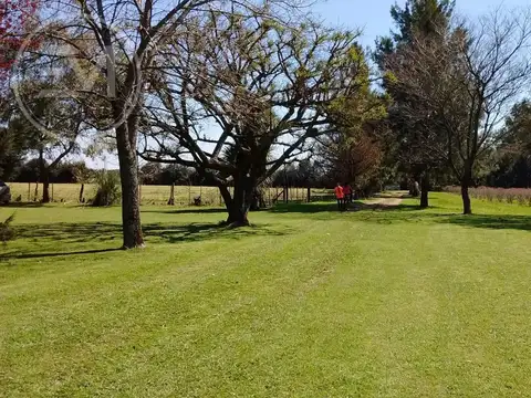 Quinta en Venta en Mercedes, USD 150.000