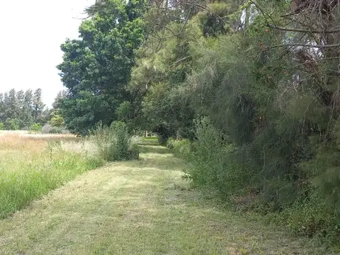 Quinta en Venta de 3 dormitorios