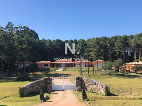 Chacra con estilo y diseño, 4 dormitorios, Punta Ballena