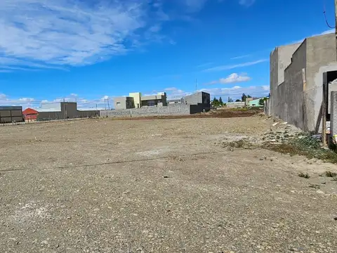 Fracisco ramirez y pirker