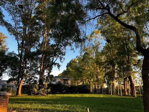 Terreno en Venta de 559,0 m2