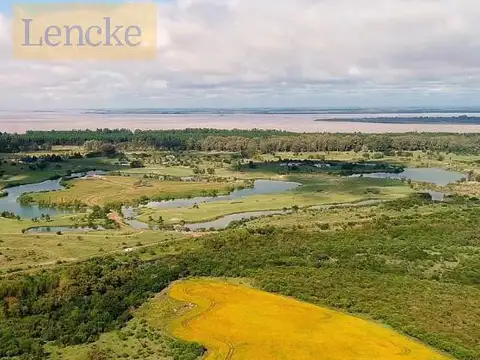 Campo en El golf