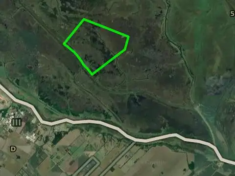 Campo en venta - 240 Hectáreas - Baradero