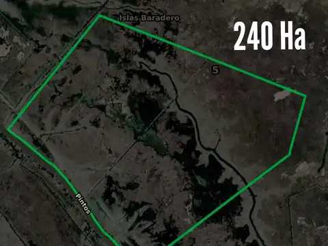 Campo en venta - 240 Hectáreas - Baradero