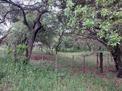 Terreno en Venta de 2600,0 m2