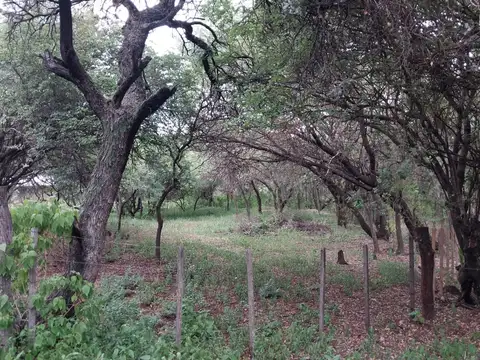 Terreno en Venta en Las Chacras, USD 25.000