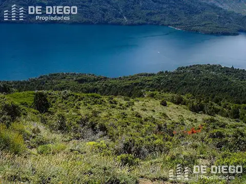 VENTA OPORTUNIDAD : 292,49 Hectáreas increíbles con vista al Lago Gutiérrez Ruta 40 - Bariloche