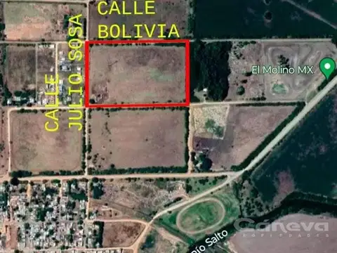 Salto, entre las calles Bolivia y Julio Sosa