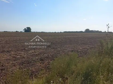 Terreno Campo  en Venta en Chenaut, Exaltación de la Cruz, G.B.A. Zona Norte