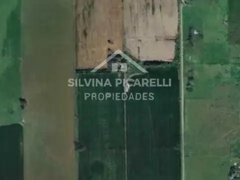 Terreno Campo  en Venta en Chenaut, Exaltación de la Cruz, G.B.A. Zona Norte