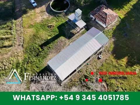 27 HAS CON MEJORAS, ZONA FORESTAL