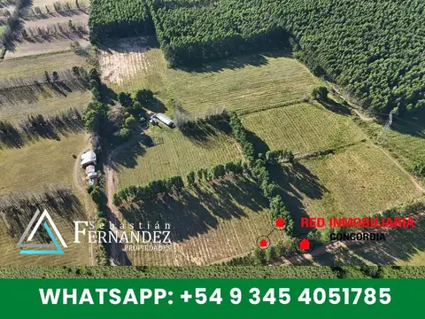 27 HAS CON MEJORAS, ZONA FORESTAL