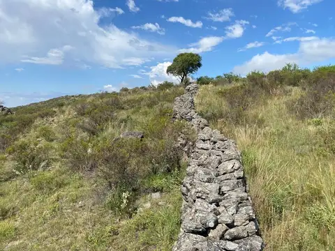 CAMPO GANADERO 417 Ha