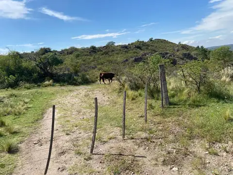 CAMPO GANADERO 417 Ha