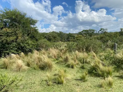 CAMPO GANADERO 417 Ha