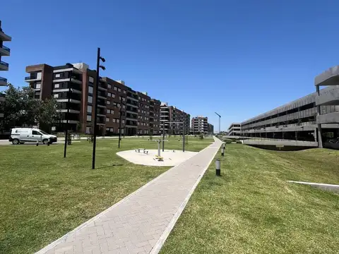 Ing. León Miglierini al 600