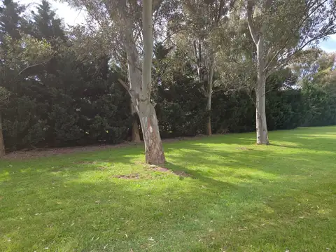 Lote en venta de 14.253 m2 en Chacras del Paraná, Zarate