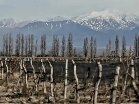 Finca Agrelo 5,3 Hectáreas