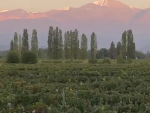 Cochabamba, Agrelo, Lujan de Cuyo