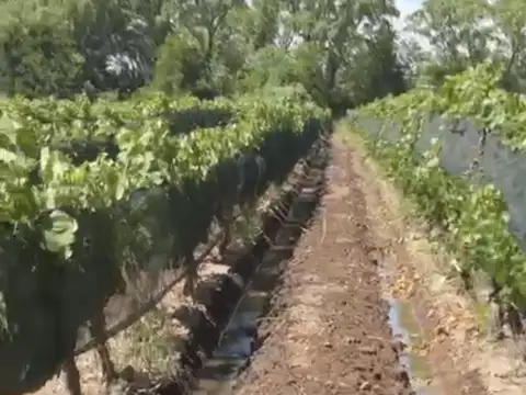 Cochabamba, Agrelo, Lujan de Cuyo