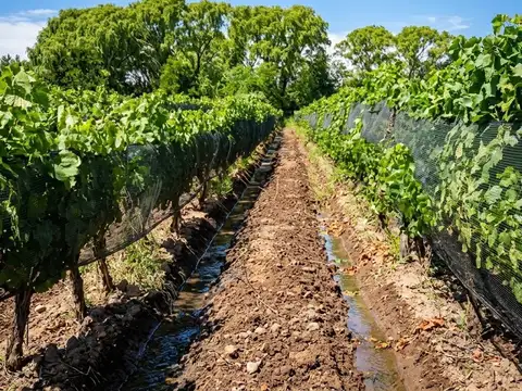 Cochabamba, Agrelo, Lujan de Cuyo