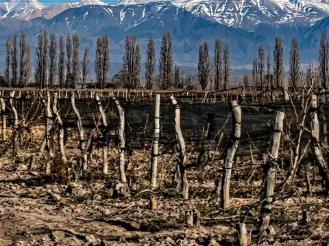 Finca Agrelo 5,3 Hectáreas