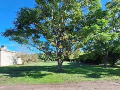 RBS. OPORTUNIDAD  GRAN LOTE INTERNO EN ALTOS DE MANZANARES