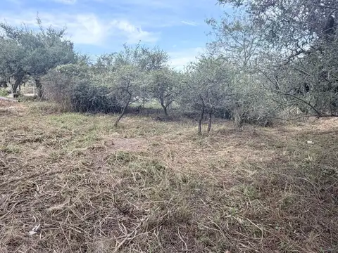 Terreno en Venta en Villa Parque Siquiman, Punilla