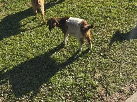 Terreno en Venta en Libertad, USD 16.000