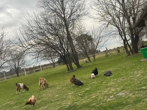 Terreno en Venta 40  mts Fondo
