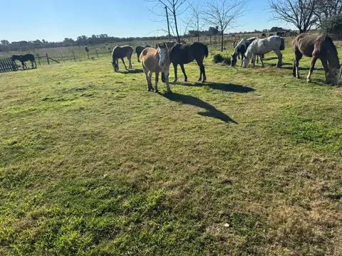 Terreno en Venta de 600,0 m2