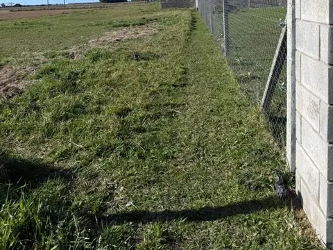 Viedma 3600
