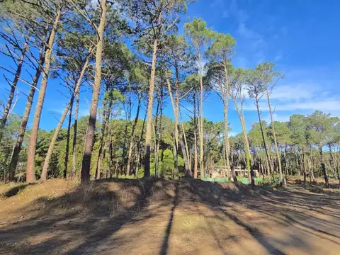 EXCLUSIVO LOTE EN CARILO CON PROYECTO PRE APROBADO