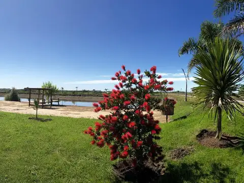 Terreno en Venta en Campos De La Enriqueta, USD 20.000