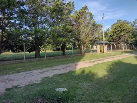 1455 e/ Los Ombúes y 1458