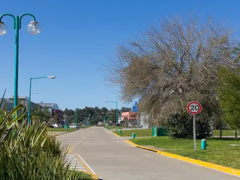 Parque  Industrial Canning 1