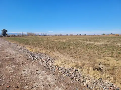 TERRENO DE 16 HECTAREAS. RAWSON